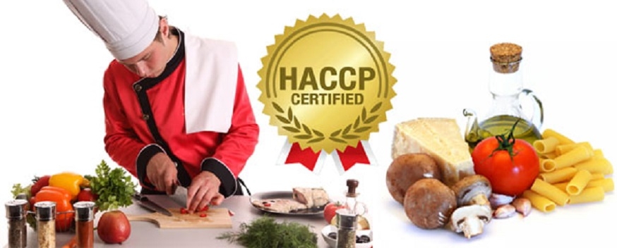 Что такое HACCP? Его важность для предприятий пищевой промышленности и общественного питания