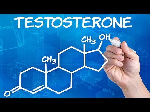 Тестостерон – что это такой и за что он отвечает?